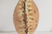 99. Hvidl&oslash;gsbr&oslash;d